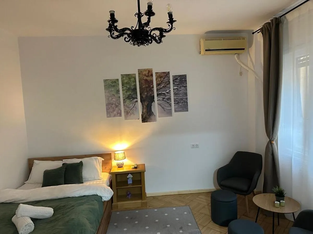 Affordable 1Br Apt In Downtown Bucharest Apartment